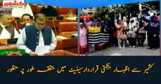 Solidarity with Kashmir, resolution successfully passed in Senate