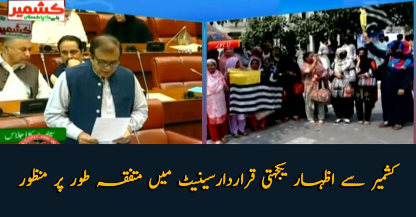 Solidarity with Kashmir, resolution successfully passed in Senate