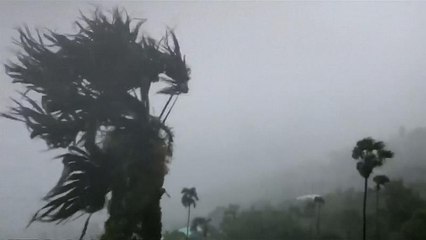 Dans les Caraïbes, la tempête Dorian se renforce