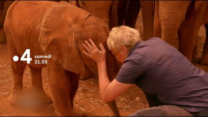 Muriel Robin et Chanee sur la terre des éléphants - Bande annonce