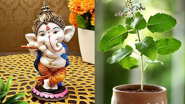 गणेश जी को क्यों नहीं चढ़ाते हैं तुलसी | Why is Tulsi not Offered to Lord Ganesha | Boldsky