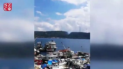 Anadolu Kavağı'nda yangın çıktı