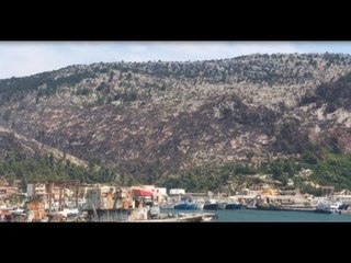 RTV Ora - Bilanci i zjarreve, 50 ha pyll u dogjën në Shëngjin