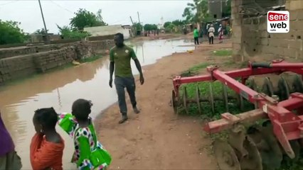 Débordement du niveau du Fleuve: Situation très inquiétante à Bakel et ses alentours