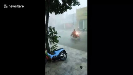 Strong winds batter Vietnam as Storm Podul makes landfall