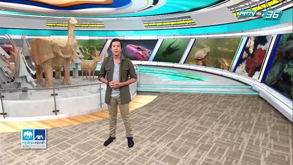 เสี่ยงเป็นเสี่ยงตาย - โลกสารคดี (2/3)