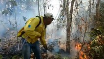 Αμαζονία: Ο αγώνας των αυτόχθωνων για να επιβιώσουν μετά την πυρκαγιά