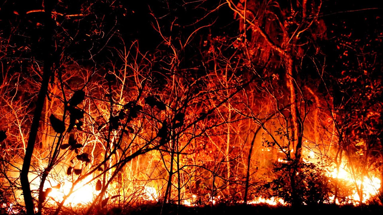 Bolivia: Ecological disaster as Amazon blazes rage