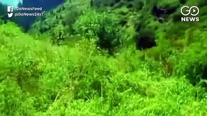 Himachal Police Starts Drive Against Marijuana Farming