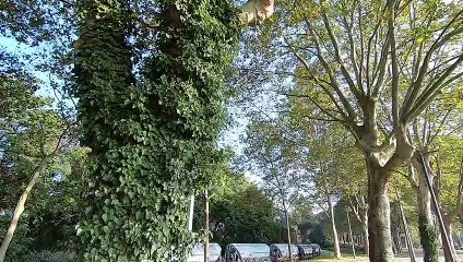Nouvelle piste cyclable au port autonome de Strasbourg