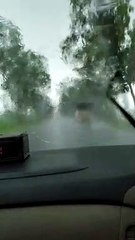 इंदौर भोपाल हाईवे पर तेज़ बारिश, 10 metre दूर भी दिखाई नहीं दे रहा