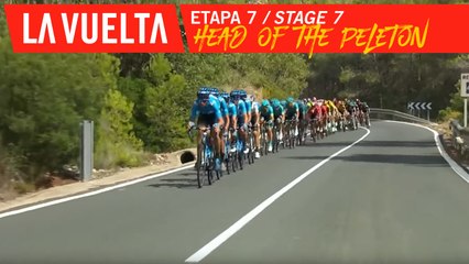 Near live - Étape 7 / Stage 7 | La Vuelta 19