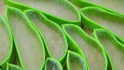 What Is Aloe Vera—and Should You Eat It?