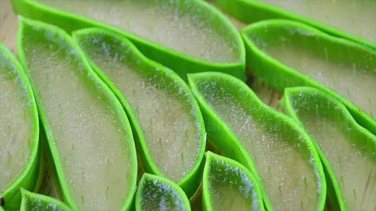 What Is Aloe Vera—and Should You Eat It?