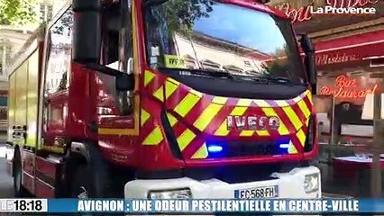 Avignon : une odeur pestilentielle en centre-ville