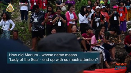 How a Baby Dugong Captured a Country's Heart