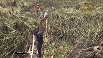 Incendio fue controlado y apagado en la provincia de Manabí