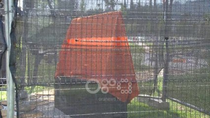 RTV Ora - Vandalizohet memoriali turk në Tiranë