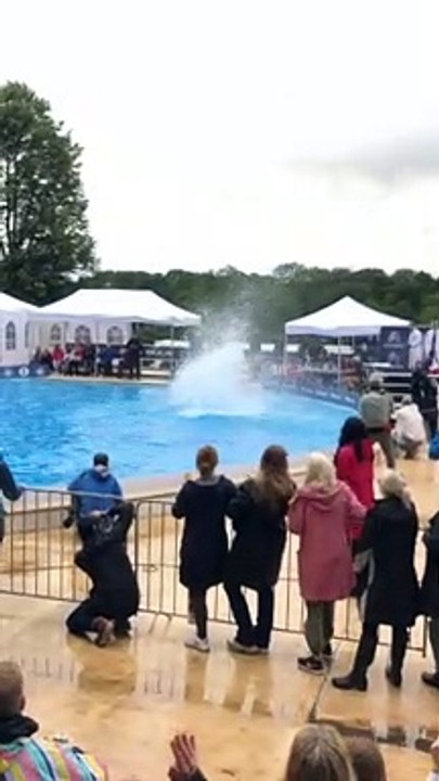 Death Diving Competition Talent