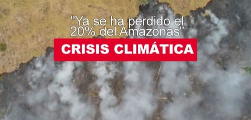 Crisis climática: "Ya se ha perdido el 20% del Amazonas"