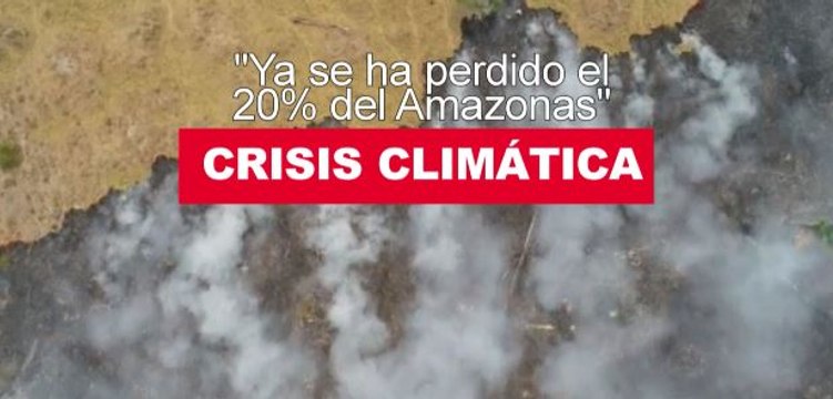 Crisis climática: Ya se ha perdido el 20% del Amazonas