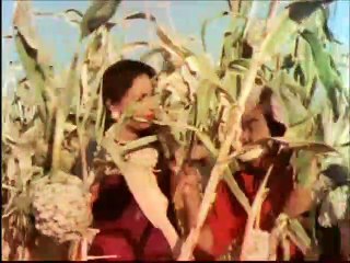 Matwala Jiya (with Chorus) | From “Mother India” – (Film 1957) — Hindi/Movie/Magic/Bollywood/Indian/Classic/Collection