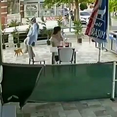 Kediye tekme atan kadın güvenlik kamerasında