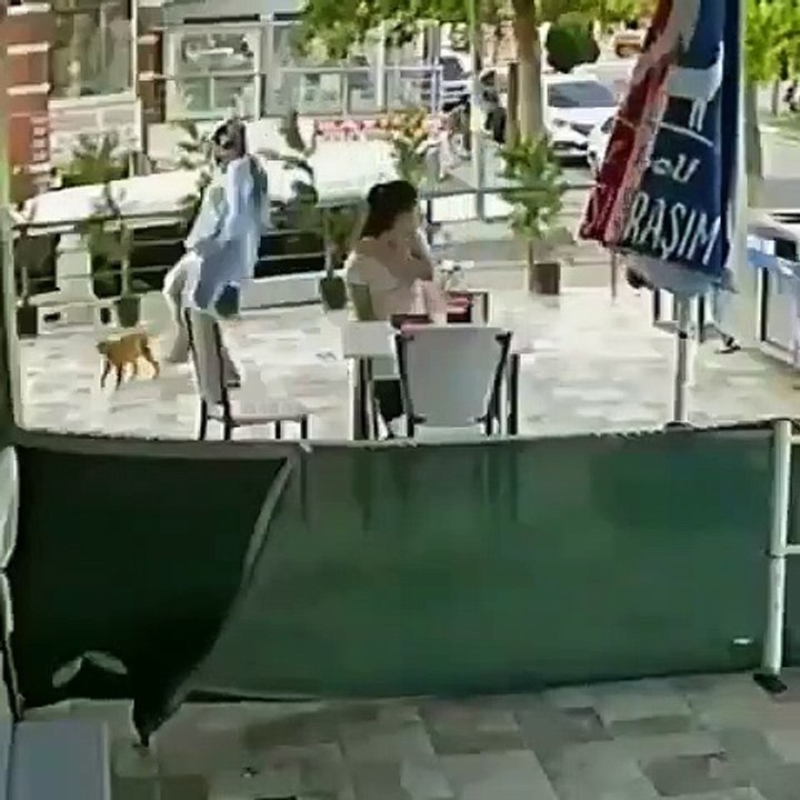Kediye tekme atan kadın güvenlik kamerasında