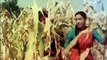 Chundariya Katati Jaye | From “Mother India” – (Film 1957) — Hindi/Movie/Magic/Bollywood/Indian/Classic/Collection