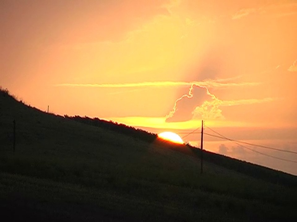 Das Sternzeichen Löwe in Natur- und Menschenwelten