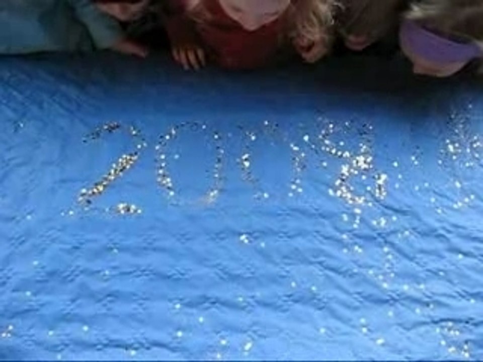 Bonne Année 2008