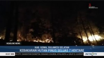 Hutan Pinus Seluas 7 Hektar Terbakar di Gowa