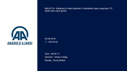 5 mahallede çıkan yangında 170 dekar alan zarar gördü - MALATYA