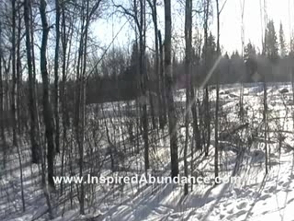 How To Live A Happy Life