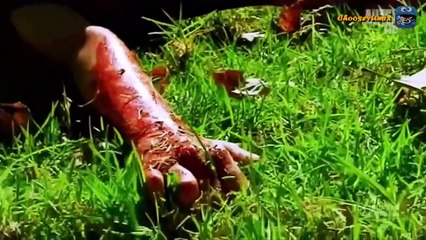 I'm Alive ( Moments between death and life ) wonderful documentary 2019 HD