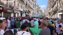 بين فترة انتقالية أو تنظيم انتخابات...الجزائريون يتظاهرون للجمعة ال28 على التوالي