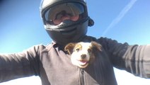 Motorcyclists Rescue Puppy From Desert Roadside