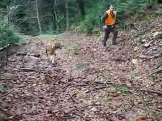 En plein coeur de la traque