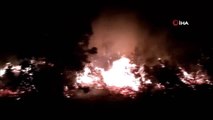 Tekirdağ'da korkutan yangın: Yüzlerce çam alev alev yandı