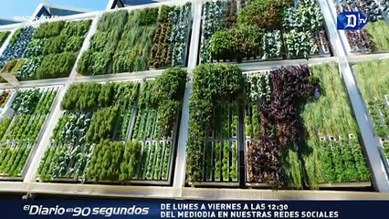 Diseñan el primer jardín  vertical de  África / La Buena Noticia