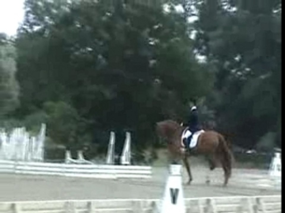 Red star du fayard classique 4 ans