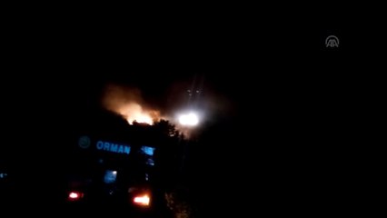 Malkara'da orman yangını - TEKİRDAĞ