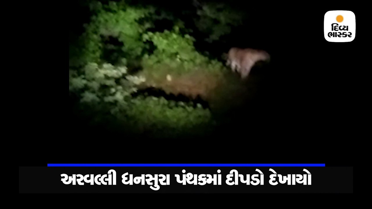 ધનસુરા પંથકમાં દીપડાની એન્ટ્રીથી લોકોમાં ભયનો માહોલ