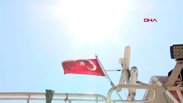 Antalya 'balon balığı' balıkçıların kabusu oldu