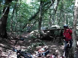 une passerelle à bourron !
