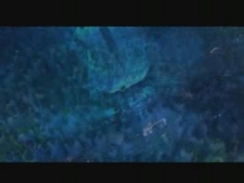 Armin van Buuren - Live @ Sensation White