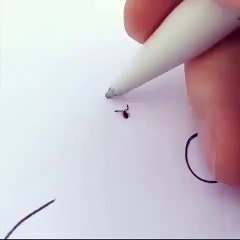 Des pseudoscorpions piégés par un feutre