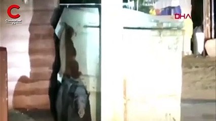 Yavru ayı konteynırda mahsur kaldı... Kurtarma anı kamerada