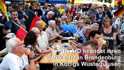AfD beendet ihren Wahlkampf in Brandenburg in Königs Wusterhausen