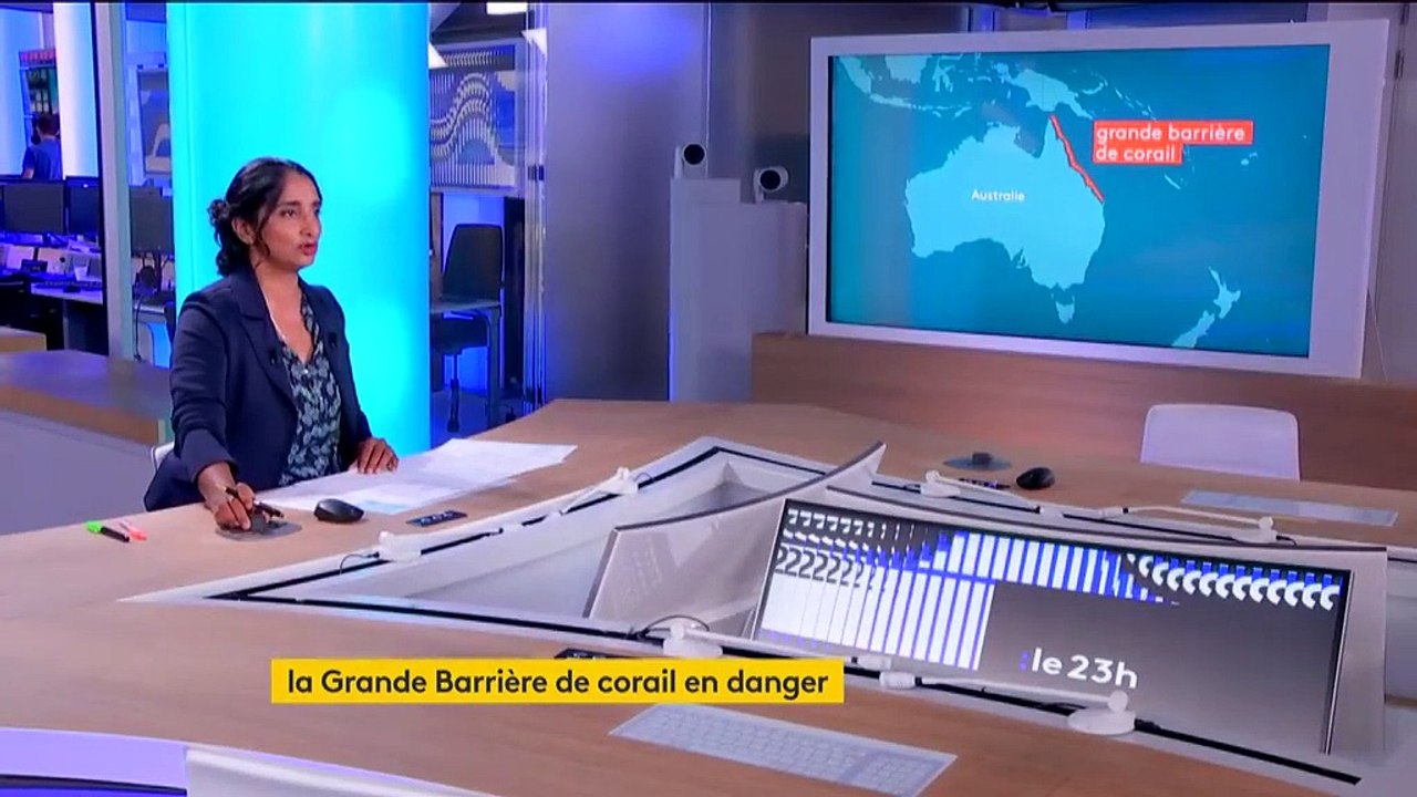 Australie : tout le récif de la Grande Barrière de corail "est menacé”, selon un rapport